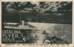 Catalina Excursion Co Postcard