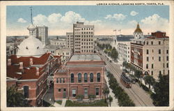 Lorida Avenue, Looking North Tampa, FL Postcard Postcard Postcard