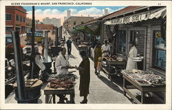 Scene Fisherman's Wharf Postcard