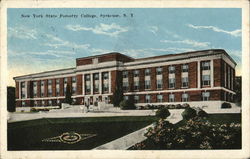 New York State Forestry College New York State Forestry College