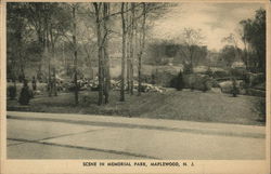 Scene in Memorial Park Maplewood, NJ Postcard Postcard 