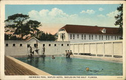 Swimming Pool, Naples Hotel Florida Postcard Postcard Postcard