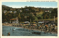 The Bathing Beach Santa Catalina Island, CA Postcard Postcard Postcard