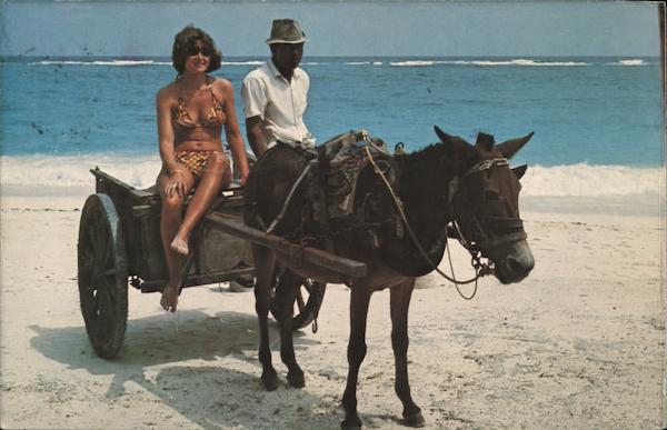 Riding Donkey Cart Barbados West Indies Caribbean Islands