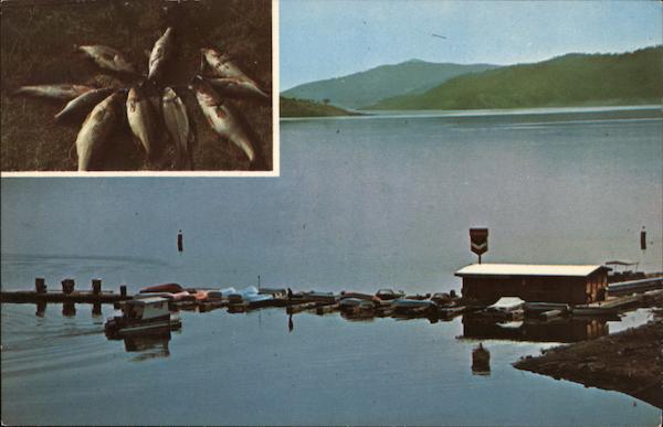 San Antonio Lake Bradley California