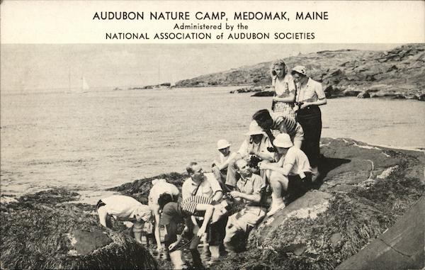 Audubon Nature Camp Medomak Maine