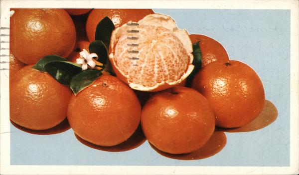 Hyatt Fruit Company, Superb Temple Oranges Fort Lauderdale Florida