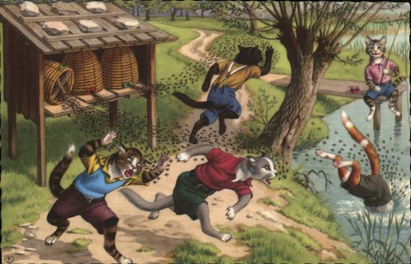 Cats attacked by bees.