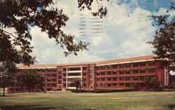 Broward Hall, University of Florida Postcard