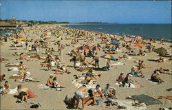 General Beach Scene at Cape Cod General Beach Scene at Cape Cod