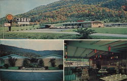 Quality Court Motel and Restaurant Jellico, TN Postcard Postcard 