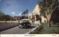 Bermuda Aquarium and Museum Flatts Village, Bermuda Postcard Postcard Postcard