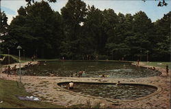 Franklin D. Roosevelt Park - Swimming Pool Postcard