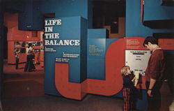 Museum of Science: Life in the Balance Exhibit Boston, MA Postcard Postcard Postcard