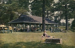 The Recreation Park Picnic Area Fulton, NY Postcard Postcard Postcard