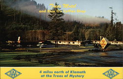 Trees Motel and Blue Ox Coffee Shop Klamath, CA Postcard Postcard Postcard