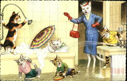 Cats Playing in Bathtub Dressed Animals Postcard Postcard Postcard