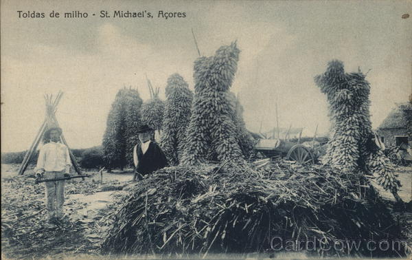 Toldas de Milho - St. Michael's Acores Spain