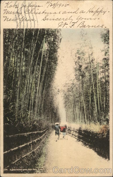 Bamboo Grove Kyoto Japan