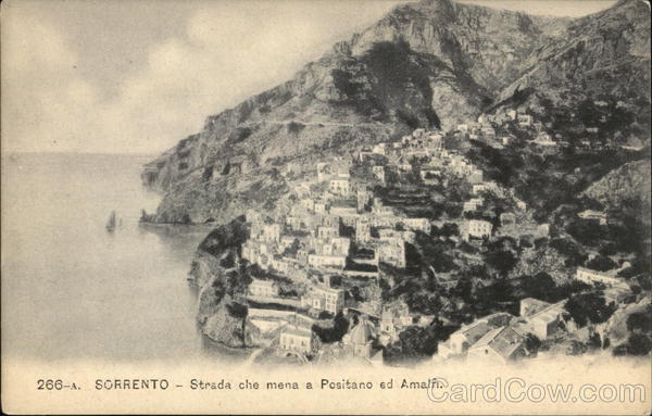 View of Town and Coast Sorrento Italy