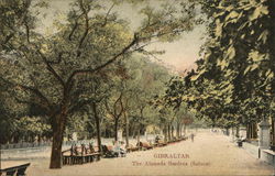 The Alameda Gardens (Saloon) Gibraltar, Gibraltar Spain Postcard Postcard Postcard