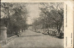 The Alameda Gardens (Saloon) Gibraltar, Gibraltar Spain Postcard Postcard Postcard