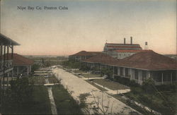 Nipe Bay Co. Preston, Cuba Postcard Postcard Postcard