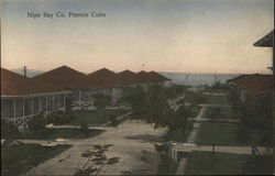 Nipe Bay Co. Preston, Cuba Postcard Postcard Postcard