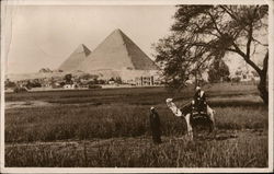 The Pyramids of Gizeh Giza, Egypt Africa Postcard Postcard Postcard