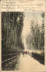 Bamboo Grove Kyoto, Japan Postcard Postcard Postcard