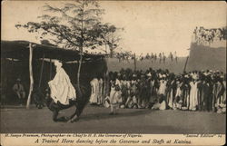 A Trained Horse Dancing Before the Governor and Staffs Postcard