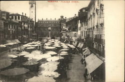 Piazza Erba Verona, Italy Postcard Postcard Postcard