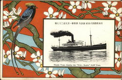 Nippon Yusen Kaisha S.S. "Suwa Maru" Steamers Postcard Postcard Postcard