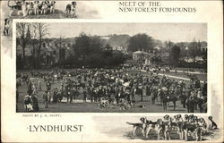 Meet of the New Forest Foxhounds Lyndhurst, England Hampshire Postcard Postcard Postcard