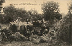 Threshing Sheves in L'Auvergne France B&W photo early 1900's Postcard