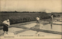 Les Marais Salants Postcard