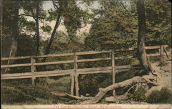 The Bridge, Borsden Wood The Bridge, Borsden Wood