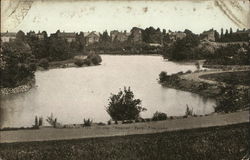 In the "Ropner" Park - The Lake Stockton-on-Tees, England Postcard Postcard Postcard