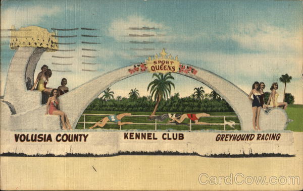 Volusia County Kennel Club Daytona Beach Florida