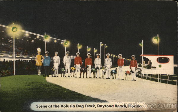 Volusia Dog Track Daytona Beach Florida