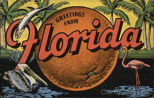 Greetings from Florida