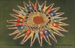 Florida Sunburst Blossom Postcard