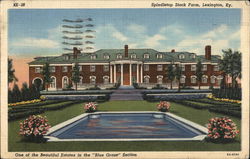 Spindletop Stock Farm, Lexington, Ky. Postcard