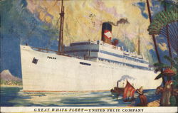 Steamer Toloa, Great White Fleet - United Fruit Company Postcard