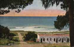 Where the Pines Meet the Ocean, Cambria Pines by the Sea California Postcard Postcard Postcard