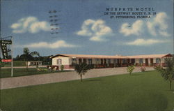 Murphy's Motel St. Petersburg, FL Postcard Postcard Postcard
