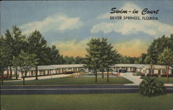 Swim-In Court Silver Springs, FL Postcard Postcard Postcard