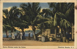 Native Kitchen under the palms Postcard