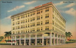 Hotel Dolphin Postcard