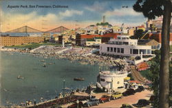 Aquatic Park San Francisco, CA Postcard Postcard Postcard